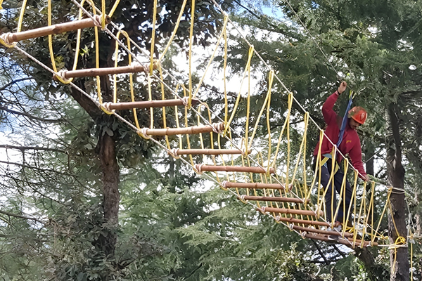 Burma Bridge Adventure in Chail